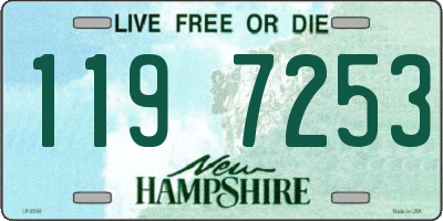 NH license plate 1197253