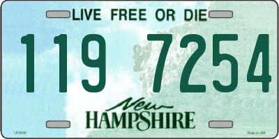 NH license plate 1197254