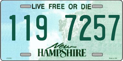 NH license plate 1197257