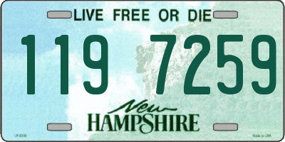 NH license plate 1197259
