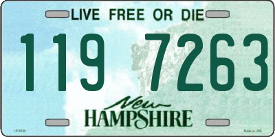 NH license plate 1197263