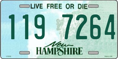 NH license plate 1197264