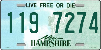 NH license plate 1197274