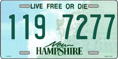 NH license plate 1197277
