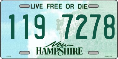 NH license plate 1197278