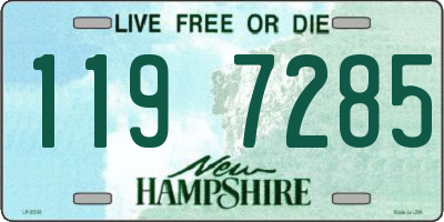 NH license plate 1197285