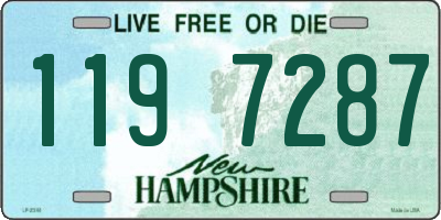 NH license plate 1197287