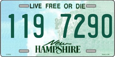 NH license plate 1197290