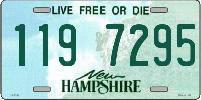 NH license plate 1197295