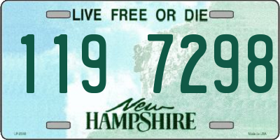 NH license plate 1197298