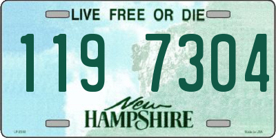 NH license plate 1197304