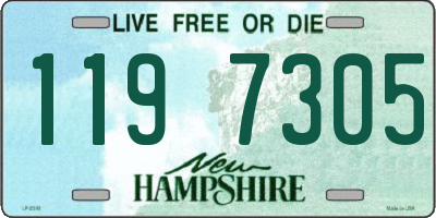 NH license plate 1197305