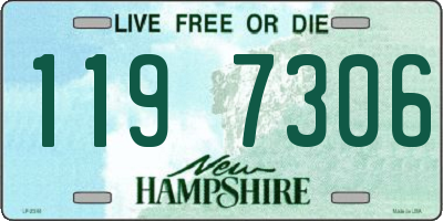 NH license plate 1197306