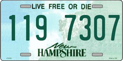 NH license plate 1197307