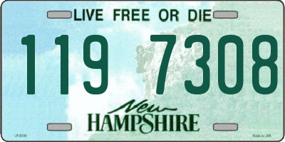 NH license plate 1197308