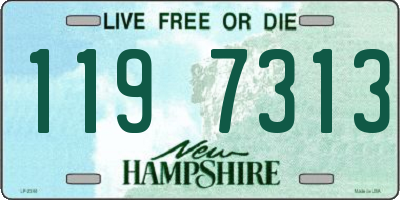NH license plate 1197313