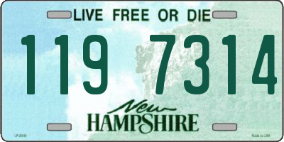 NH license plate 1197314