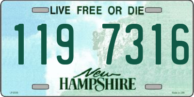 NH license plate 1197316