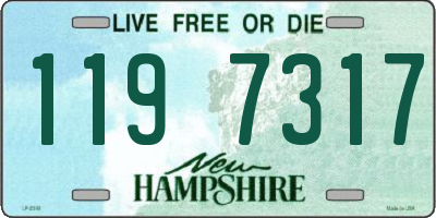 NH license plate 1197317