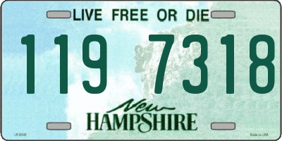 NH license plate 1197318