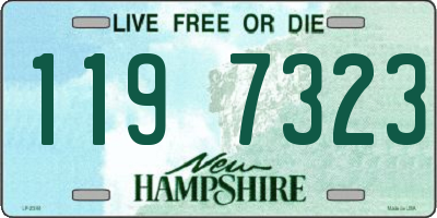 NH license plate 1197323