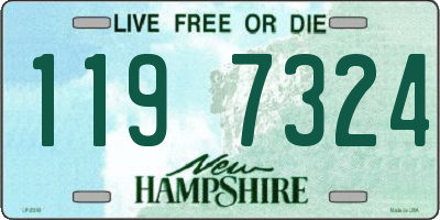 NH license plate 1197324