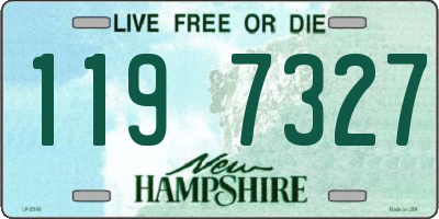 NH license plate 1197327