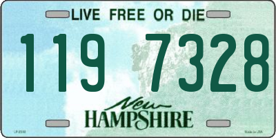 NH license plate 1197328