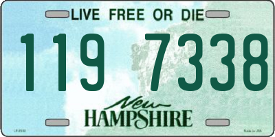 NH license plate 1197338