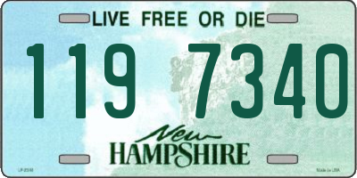 NH license plate 1197340