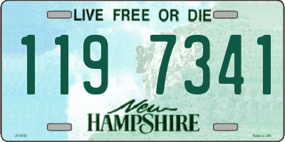 NH license plate 1197341
