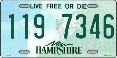 NH license plate 1197346