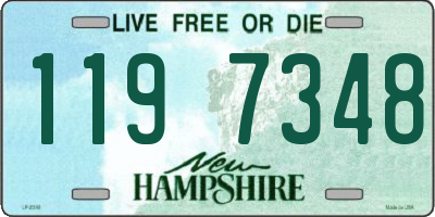 NH license plate 1197348