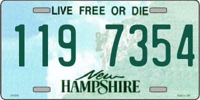 NH license plate 1197354
