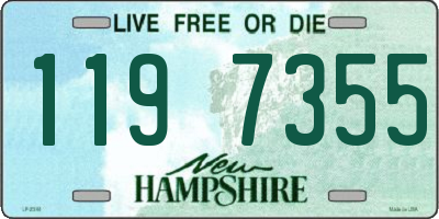 NH license plate 1197355
