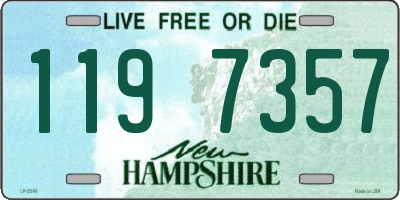 NH license plate 1197357