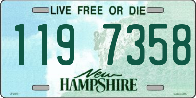 NH license plate 1197358