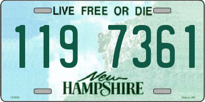 NH license plate 1197361