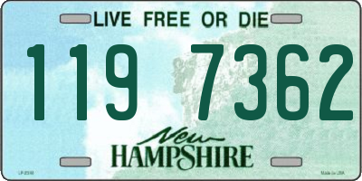 NH license plate 1197362