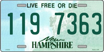 NH license plate 1197363