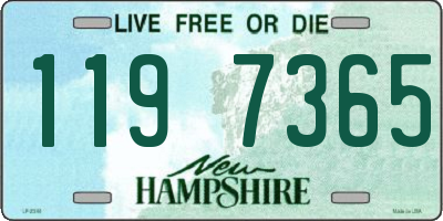 NH license plate 1197365