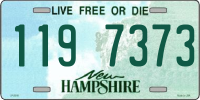 NH license plate 1197373