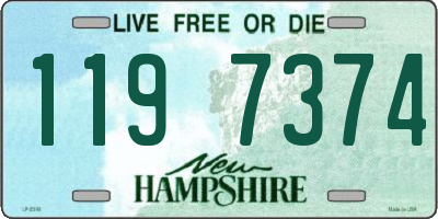 NH license plate 1197374