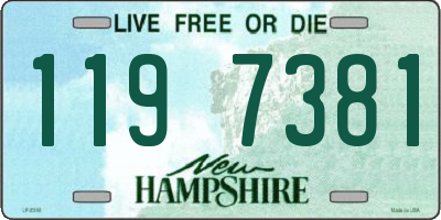 NH license plate 1197381