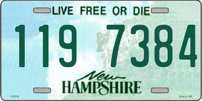 NH license plate 1197384