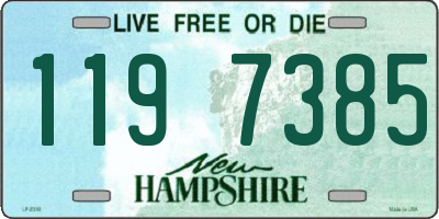 NH license plate 1197385
