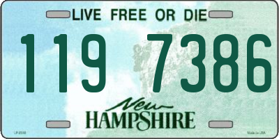 NH license plate 1197386