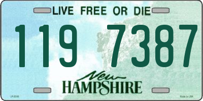 NH license plate 1197387
