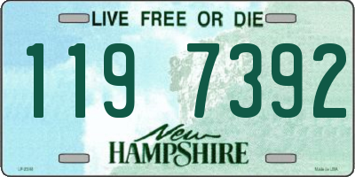 NH license plate 1197392