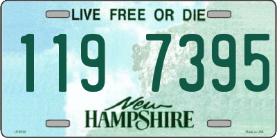 NH license plate 1197395